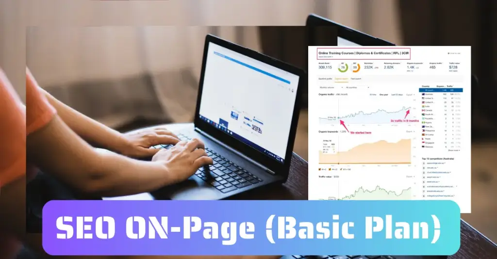 Search Engine Optimization (SEO) - ON-Page SEO - (Basic Plan)