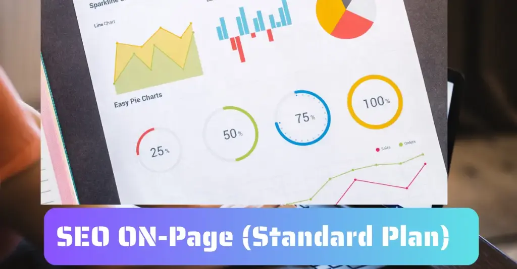 Search Engine Optimization (SEO) - ON-Page SEO - (Standard Plan)