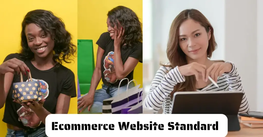 Ecommerce Website Standard