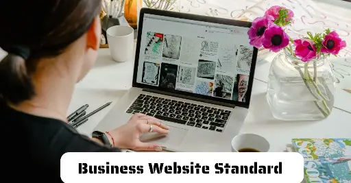 Business Website (Standard Plan) 